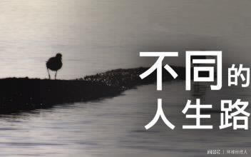 【揭秘】平台出款维护难题，如何高效解决出款问题？如何挽回（图）