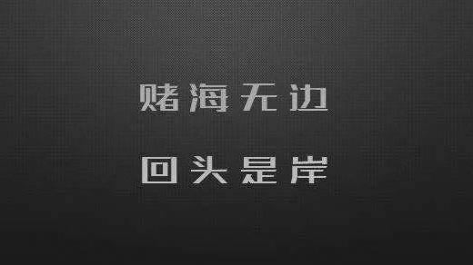 网上平台数据延迟风控审核.文章开头语（图）