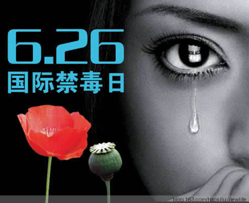 【揭秘】网上平台赢钱被黑,如何找到黑公司的联系方式?