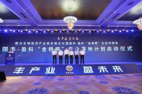 【揭秘】网上网站第三通道维护难题,24小时在线服务助你无忧!