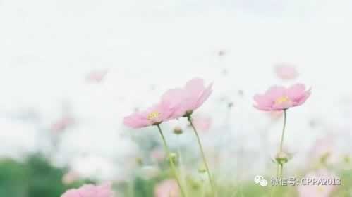 【紧急提醒】平台被黑不给提款？教你三招轻松应对！到底怎么搞（图）