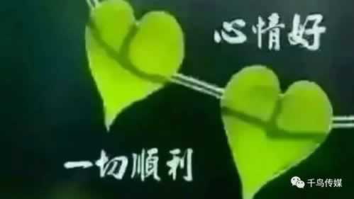 网络上网站升级成VIP才能取款怎么办？.概述（图）