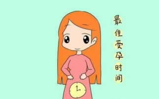 显示提现成功但是没到账.概括（图）