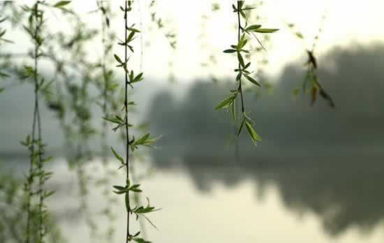 “一直让罚流水取不出钱怎么办?快速掌握这5个技巧,让你轻松解决难题”