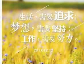 数据延迟15分钟.文章慨括(图)