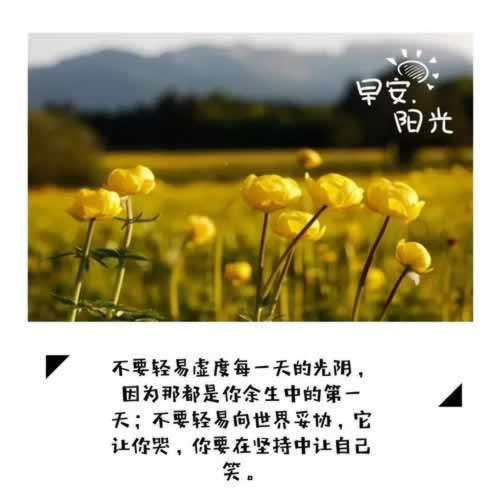 网上平台赢钱却无法提现?揭秘解决方法,让你的资金安全无忧!