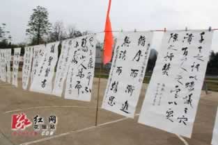 钱被平台黑了怎么处理掉呢知乎.小序（图）