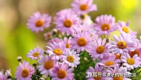揭秘“两个平台对打套利公式”：如何巧妙利用市场差异，实现双赢？到底怎么办（图）