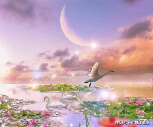 碰到平台风控审核提现失败被黑.引题(图)