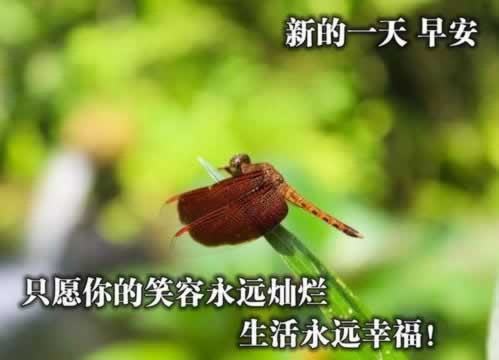 出款系统维护一般多久.内容导语(图)