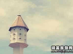 【揭秘】平台提现被驳回？这些原因让你不得不了解！