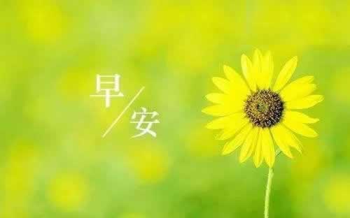 “被黑了无法出款？揭秘网络支付困境中的取款难题”