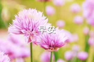 在黑平台账号异常?先出看这里.自序(图)