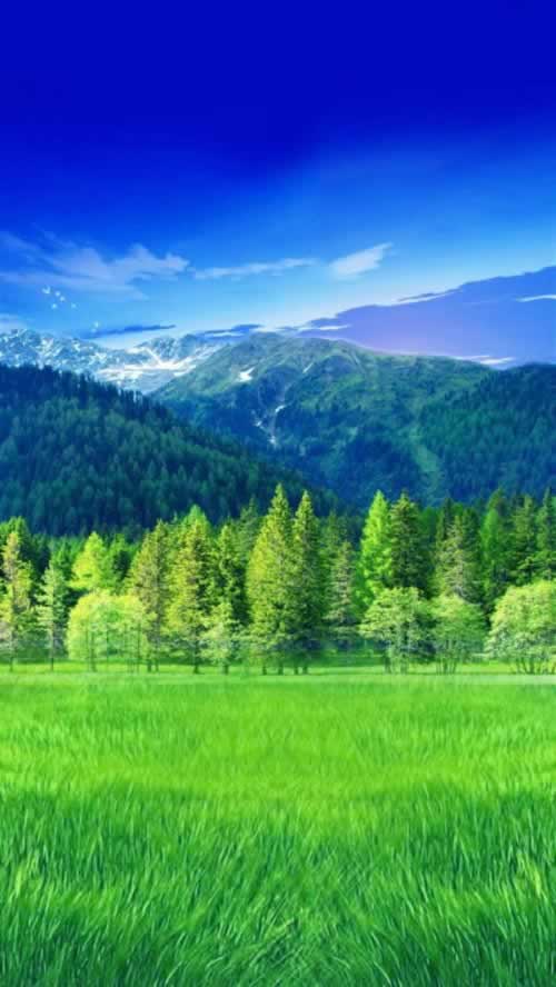 在黑网站打码量不给取款?揭秘防骗必看攻略!为何这样的(图)