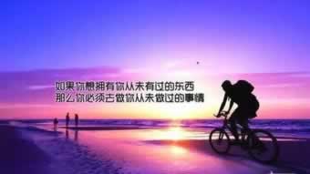 在网站被黑不给出款报警可以拿回损失吗.文章导言(图)