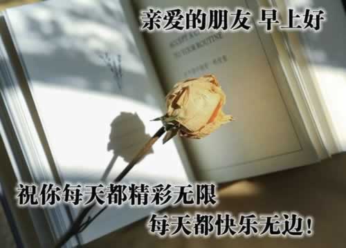 “不给提款被黑了？揭秘提款被黑后的应对之道”怎么解决（图）