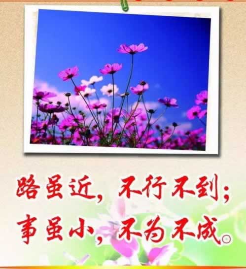 平台让我再充钱才能拿到提现.引文（图）