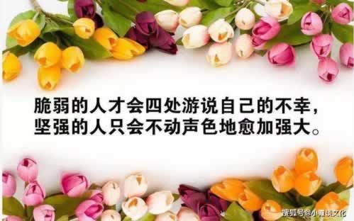 在黑平台上被黑我违规操作不给提款.文章引题(图)