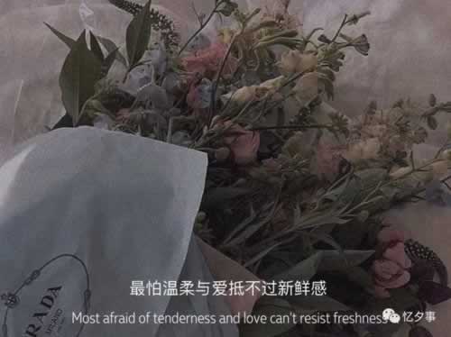 在平台赢钱系统维护中遇到问题?揭秘解决之道,让你不再迷茫!