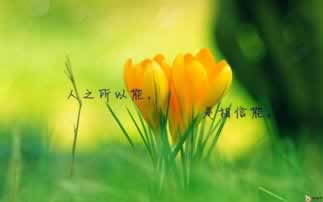 黑平台就不给你出款的人怎么办.文章慨括(图)