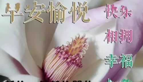 【揭秘】风控部门审核注单延迟，揭秘背后的真相与应对策略怎么情况（图）