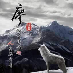 账号审核取不出钱怎么办掌握更多.文章慨括（图）