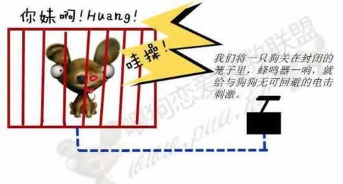 遇到黑平台不让取款怎么办.自序（图）
