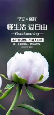 【揭秘】提现不成功的五大原因,让你轻松规避金融风险!什么破解方法(图)