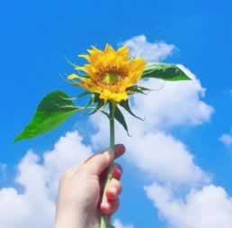 网站出款端口维护不能出款怎么办？找这个人就可以.侧重点（图）