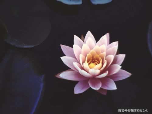 赢钱提现受阻？揭秘登录IP风控与通道维护背后的真相