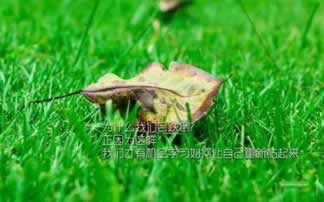 “审核不通过叫什么?揭秘审核过程中的那些小秘密”