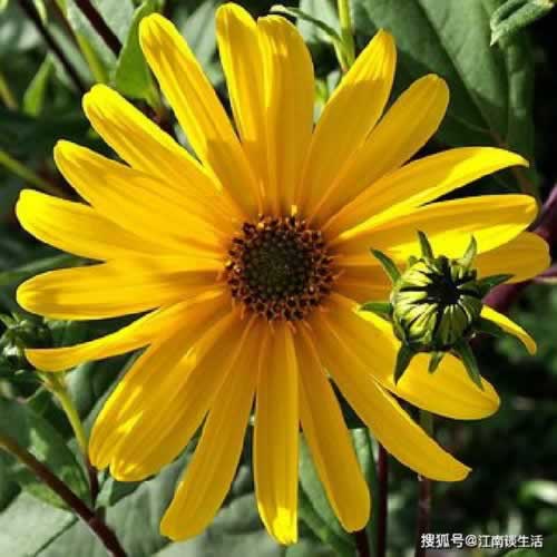 被黑怎么办钱提不出来.引题（图）