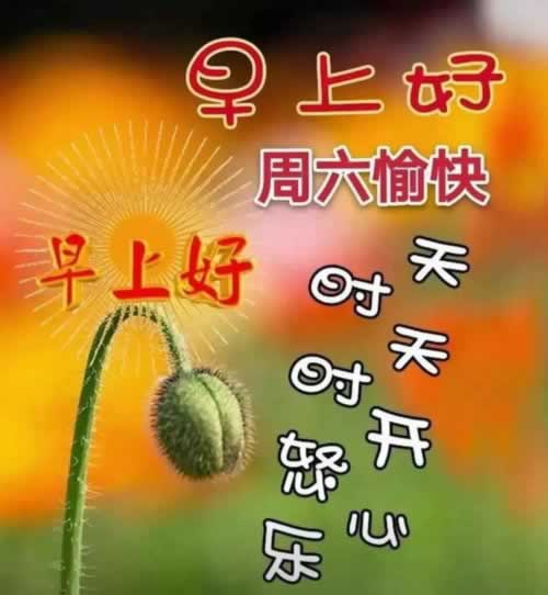 网上平台被黑了无法提款怎么办呢.自序(图)