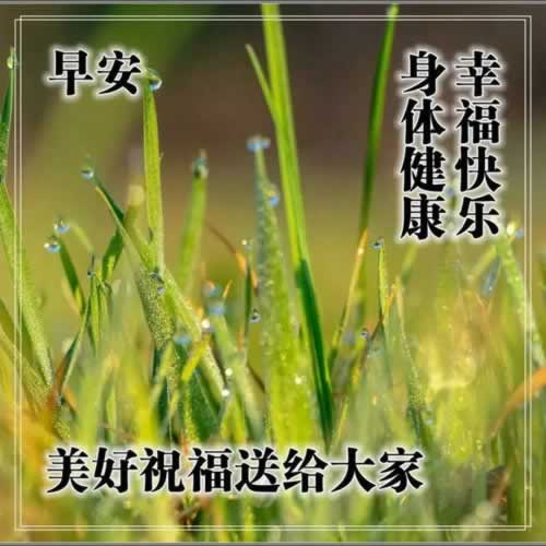 在黑网被黑账号涉嫌套利不给提款，揭秘背后真相！大家如何面对（图）