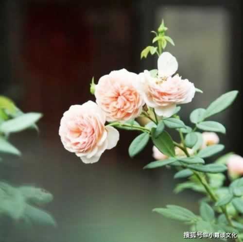 【揭秘】提款不成功，你的卡里钱去哪了？