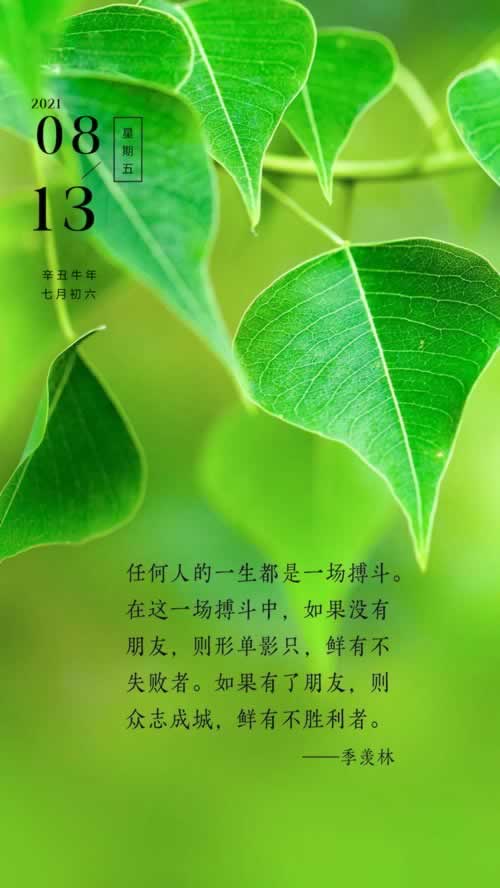 【紧急提醒】“365提款38小时没到账”？揭秘提款慢背后的真相！大家怎么处理（图）
