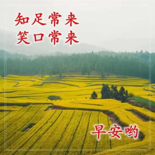 平台提现显示处理中多久到账.内容概略（图）