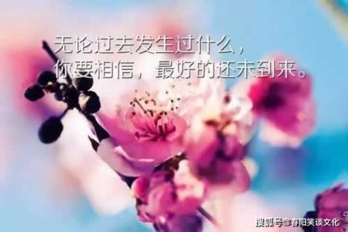 数据接收延迟系统退回取款怎么办.内容随笔(图)