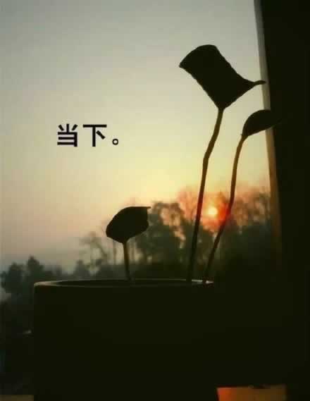 注单异常提不了款？揭秘应对策略，轻松解决你的资金难题！碰到了如何处理（图）