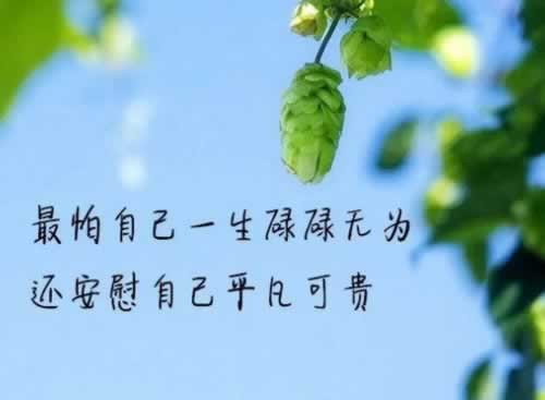 网上被黑平台不给出款？揭秘应对策略，助你找回损失！大家如何面对（图）