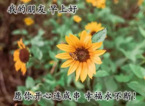 遇到“被黑提取失败提示财务清算”?揭秘背后的真相与应对策略