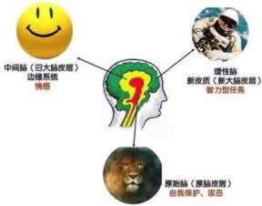 【揭秘】“提现最久什么时候到账”？揭秘银行到账时间背后的秘密！
