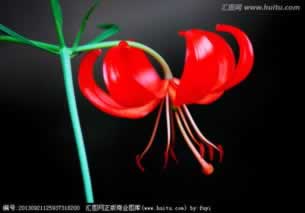 【紧急提醒】平台不给提现？取款通道维护怎么办？教你一招轻松应对！