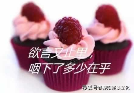 网站取款通道维护方案.概括(图)