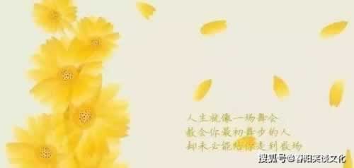 网站被坑升级成VIP出款提现不了怎么办?出黑必看文章.内容概要(图)