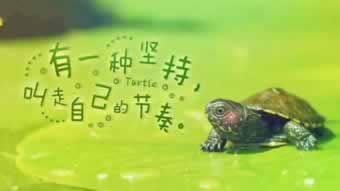 网站不让出款?揭秘解决之道,让你轻松应对!
