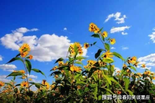 被黑一般是怎么样子的好几天不出款.引题(图)