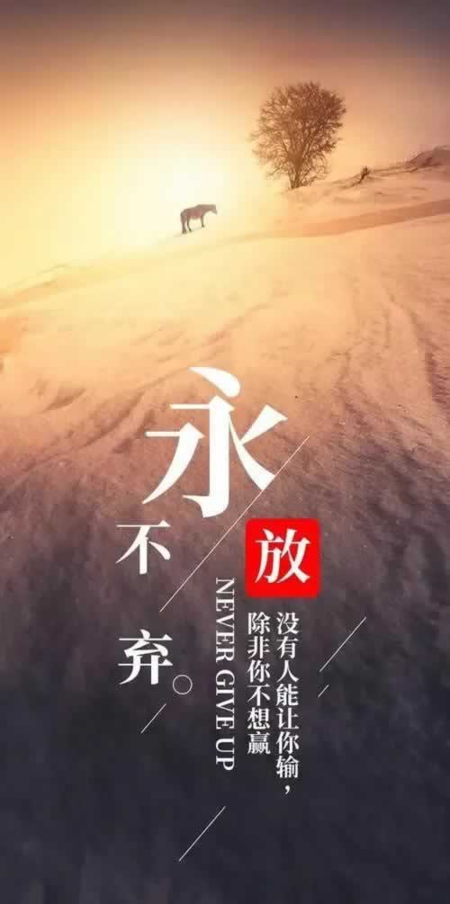 闲聊里的钱提被黑,如何巧妙应对?