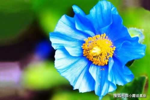 系统审核提不了款怎么办?揭秘解决方法,让你轻松应对!