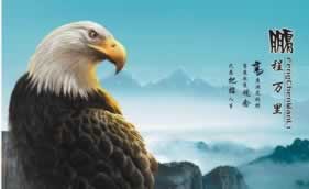 平台上的钱提现不了怎么办.文章慨括（图）